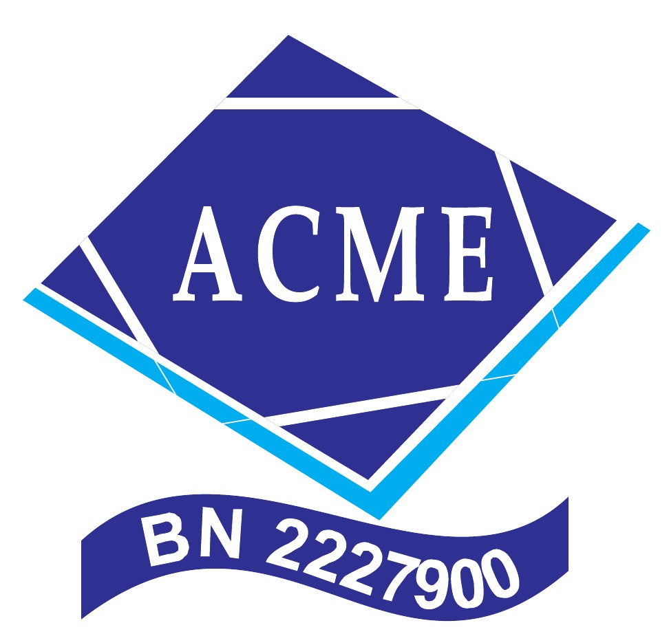 Acme Professionals